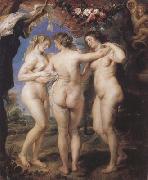 Peter Paul Rubens The Tbree Graces (mk01) Spain oil painting artist